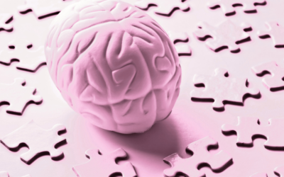 Nos mémoires externalisées, nos esprits saturés