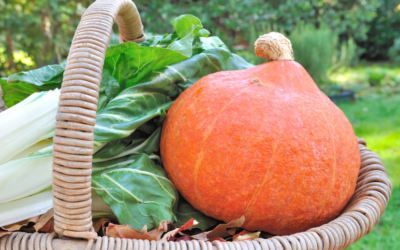 Le panier d&rsquo;échange