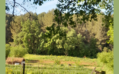 Visite au « Jardin suspendu »